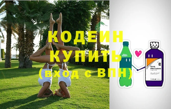 меф Вяземский